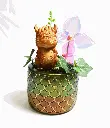 016A0498.webp