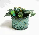 016A0511.webp