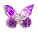 016A0586.webp