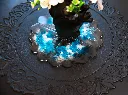 016A1517.webp