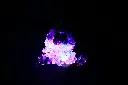 016A1653.webp
