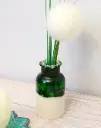 Soliflore lisse Vert/Argent